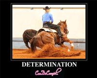 Determination Motivational Poster