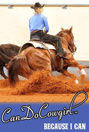 Blue Horse and Rider Poster - Because I Can