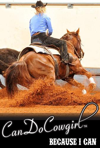 Black Horse and Rider Poster - Because I Can
