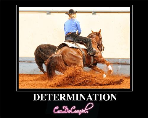 Determination Motivational Poster